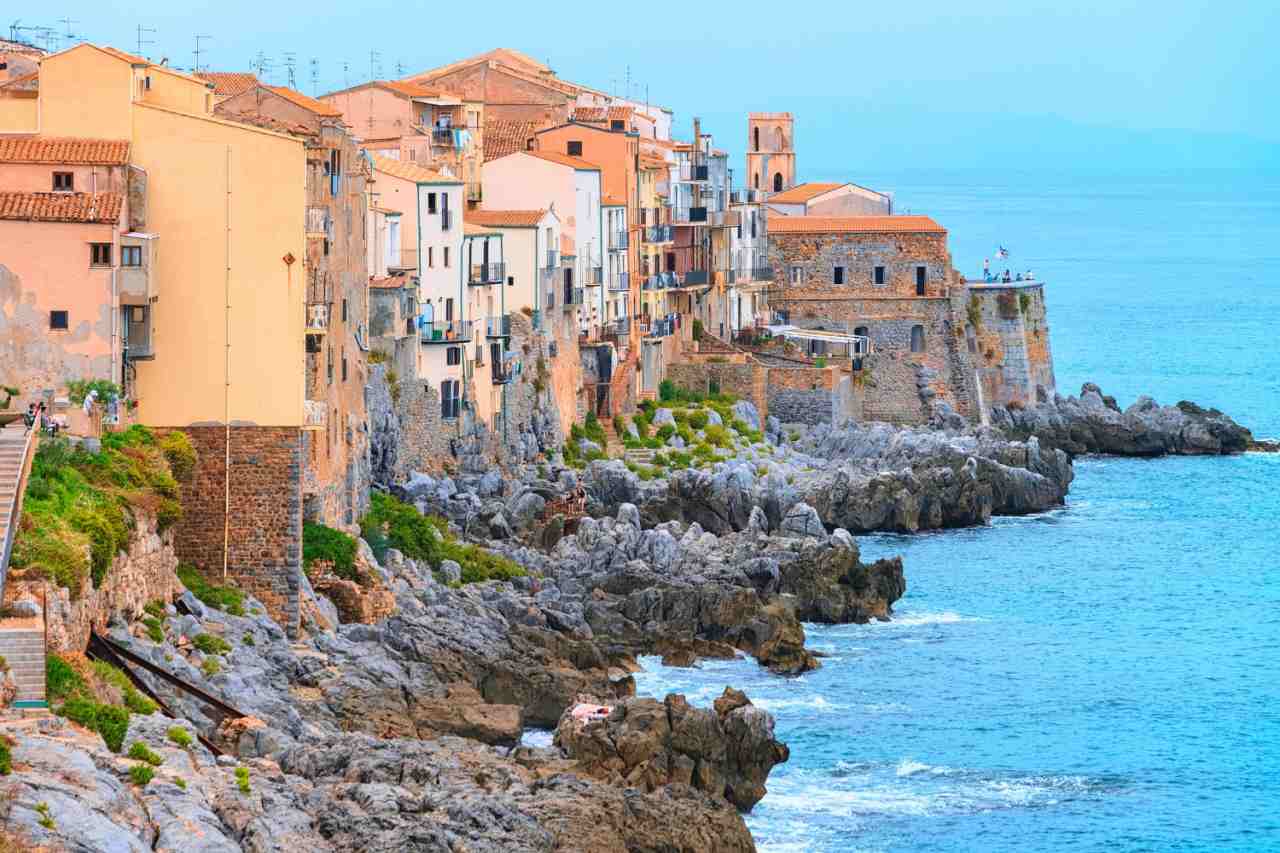 Le rose rampicanti: come coltivarle e curarle