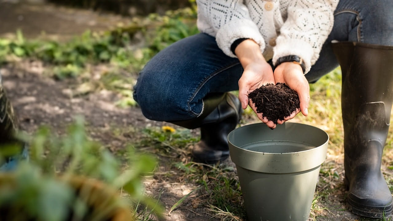 Come scegliere il vaso e il terriccio giusti