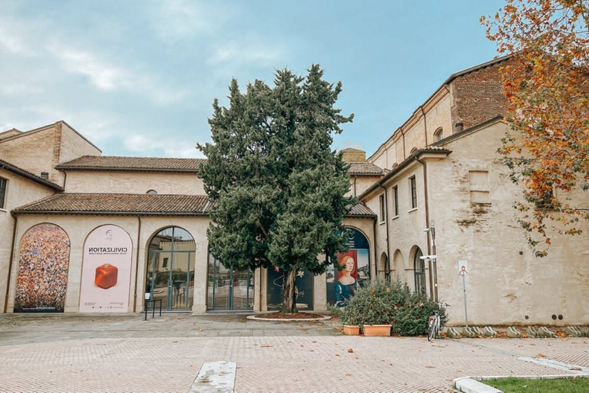 Il pioppo cipressino dei viali padani: storia di un albero che segna l'identità