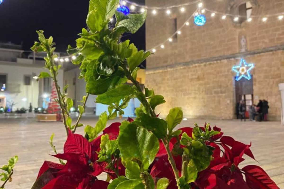 Luce media: il compromesso perfetto