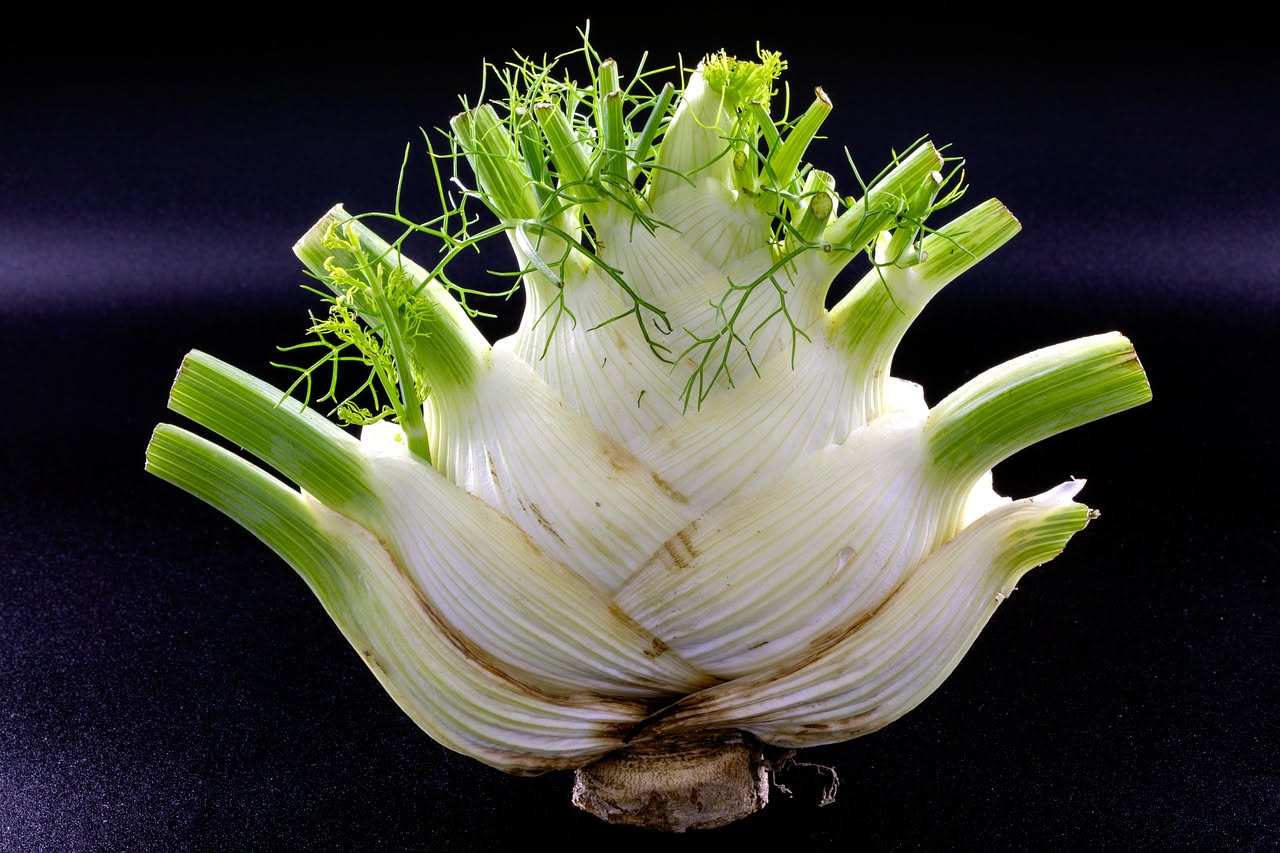 Finocchio sul balcone: coltivare il bulbo in vaso profondo