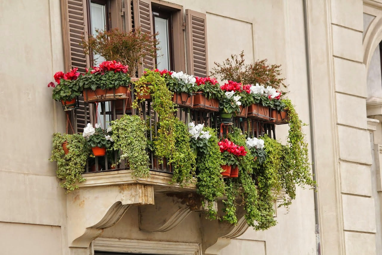 7 piante da balcone che fioriscono per tutta l'estate senza quasi annaffiarle