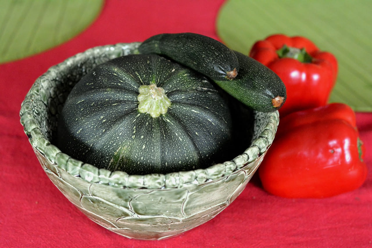 Zucchino tondo di Nizza in vaso: come coltivare la varietà sferica
