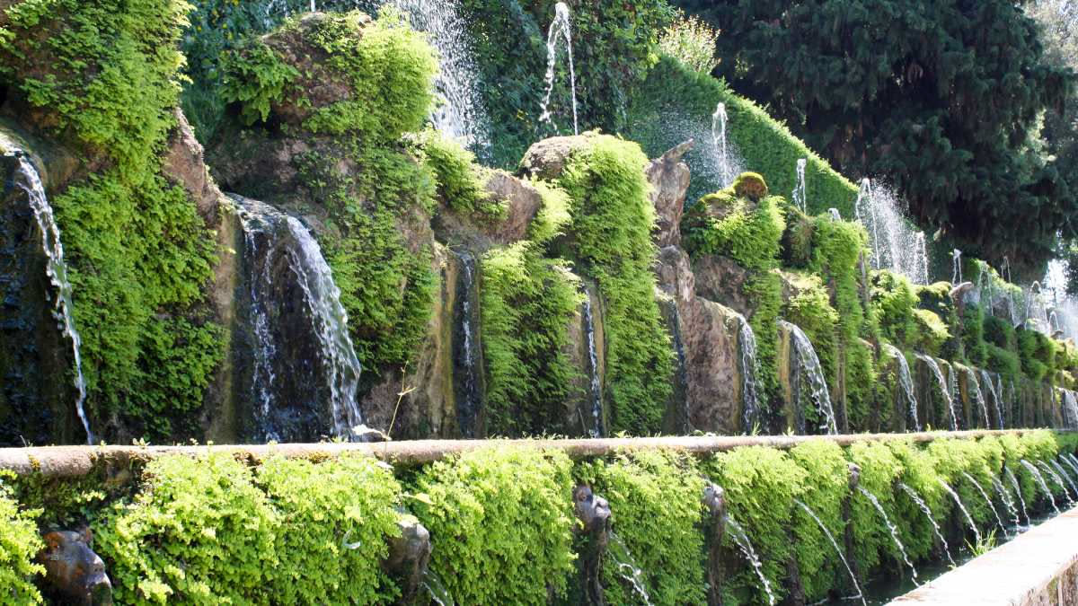 Felci sui muri delle ville: come trasformano la pietra italiana