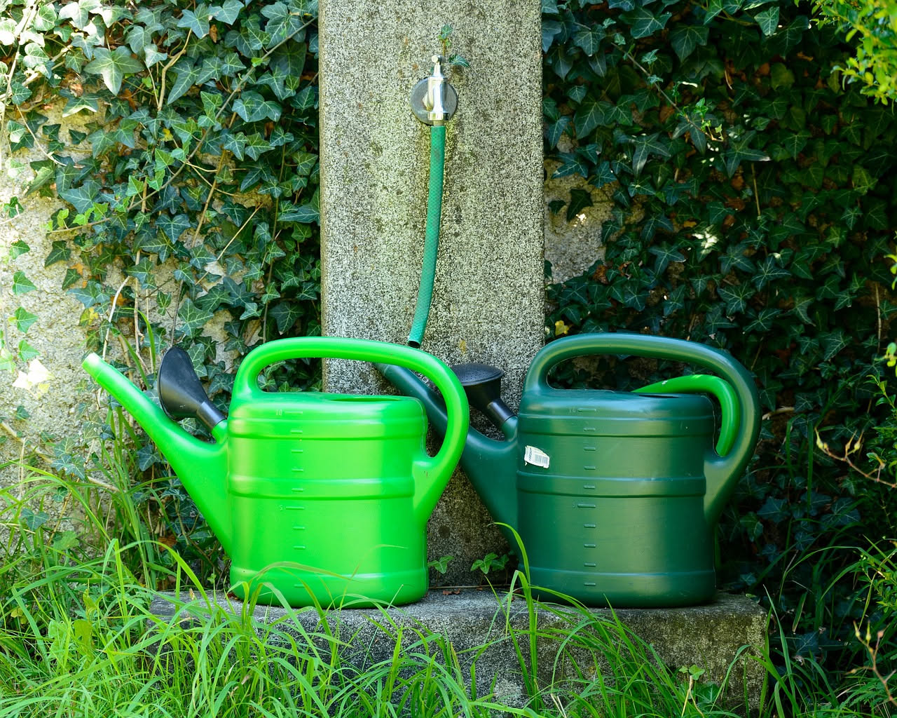 Come scegliere il sistema di irrigazione giusto per te