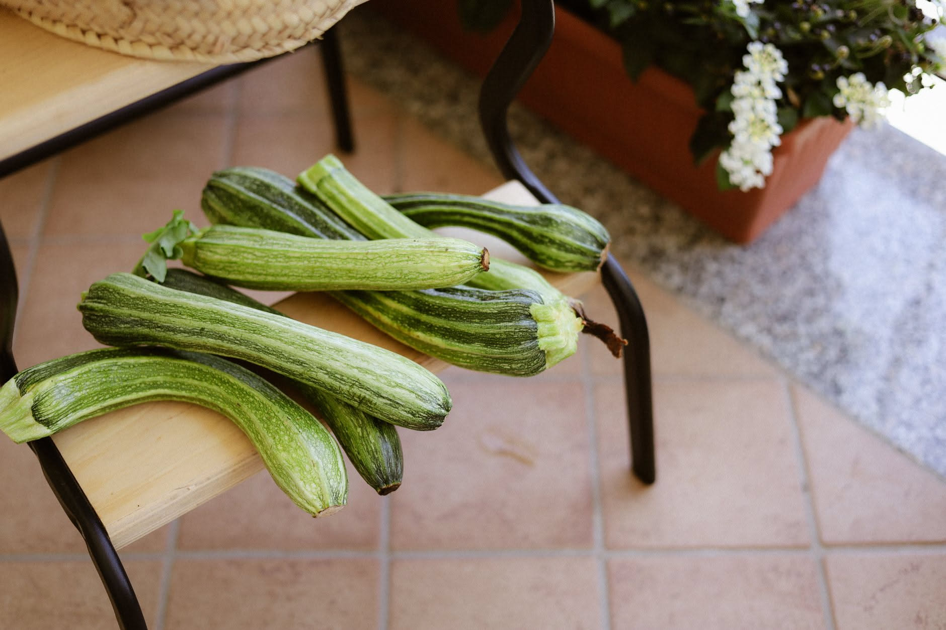 Cosa e troppo tardi per piantare a settembre (e cosa fa ancora in tempo)