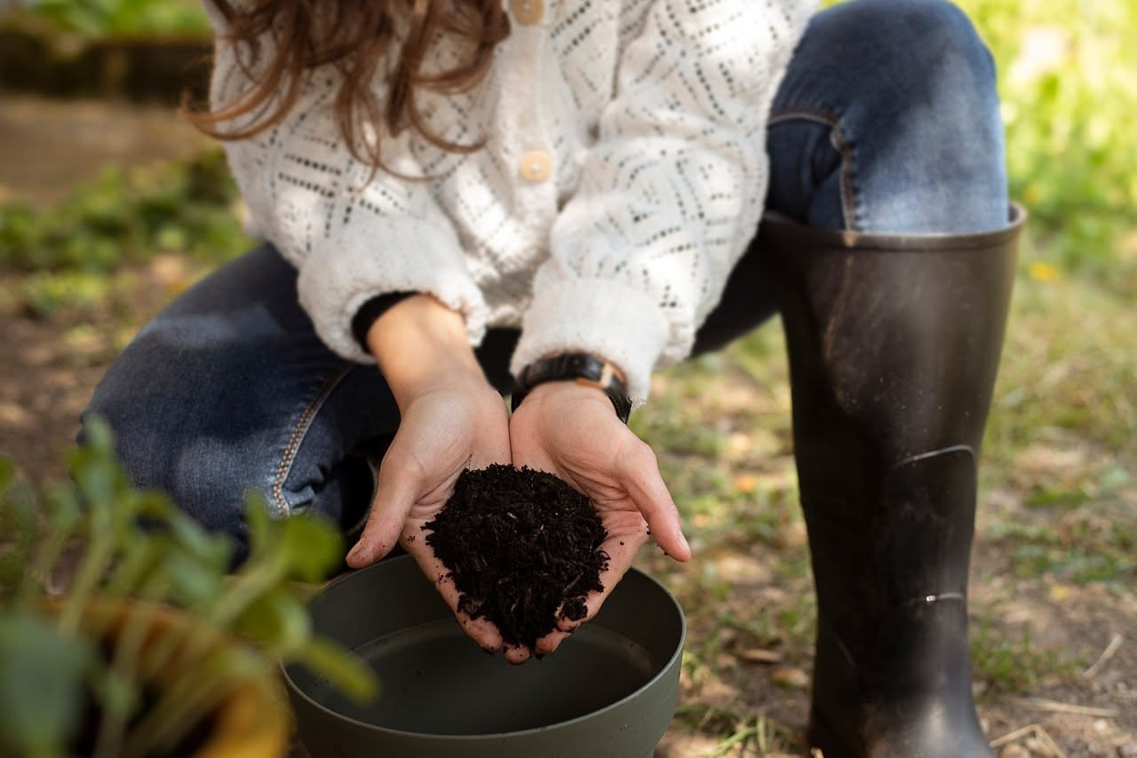 Fondi di caffè e gusci d'uovo sulle piante: funzionano davvero?