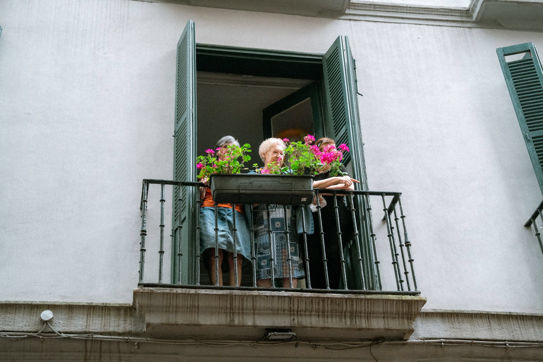 Se il tuo balcone è chiuso fra due muri le piante soffrono anche a settembre