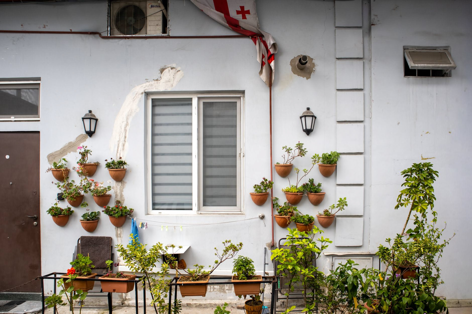 Cosa guardare subito nelle piante quando il maltempo ha colpito il balcone