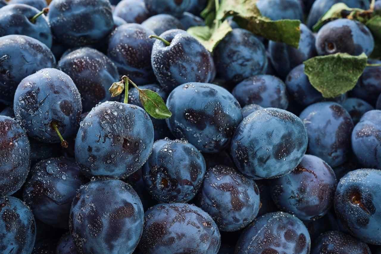 Susina: il test della buccia per capire se è arrivato il momento di mangiarla