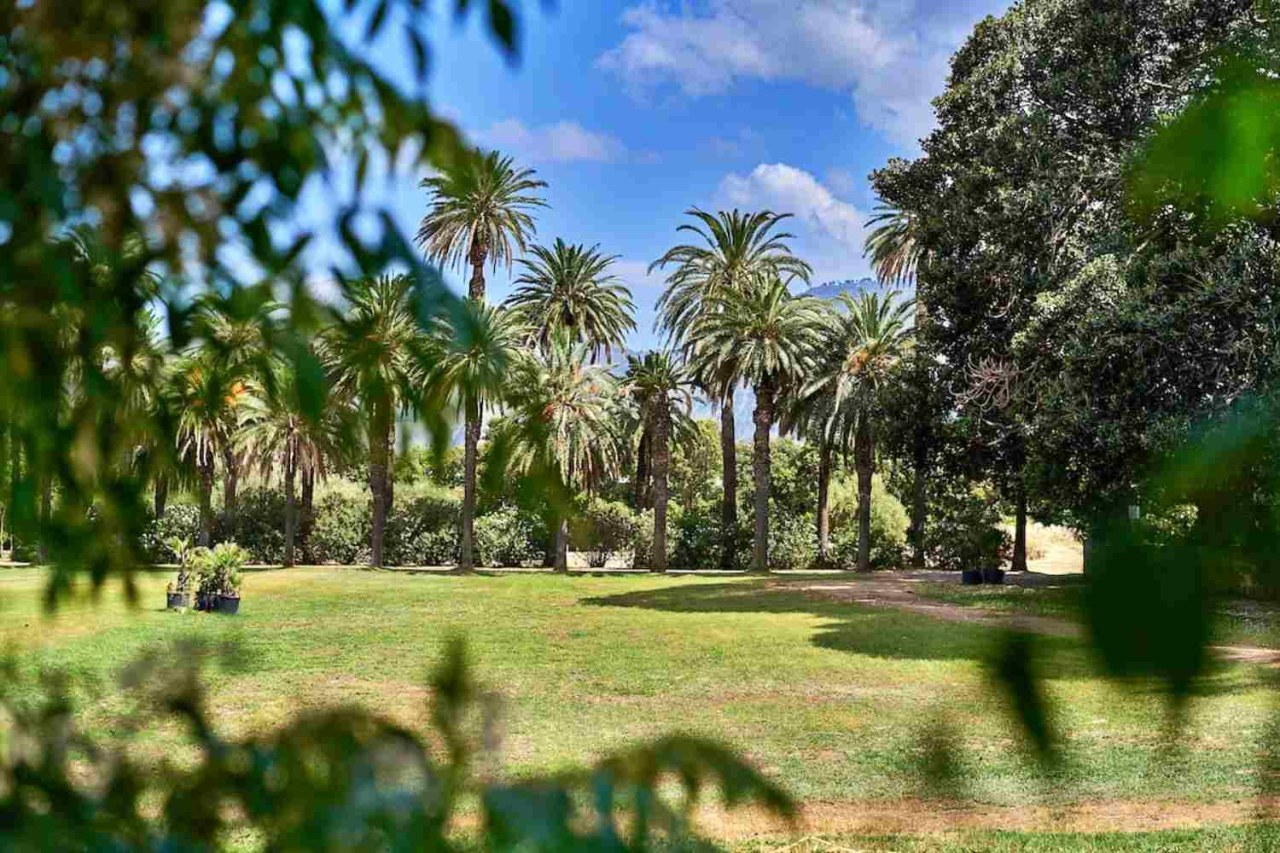 Il giardino siciliano nascosto tra palme e piante esotiche che sembra lontano dall’Italia