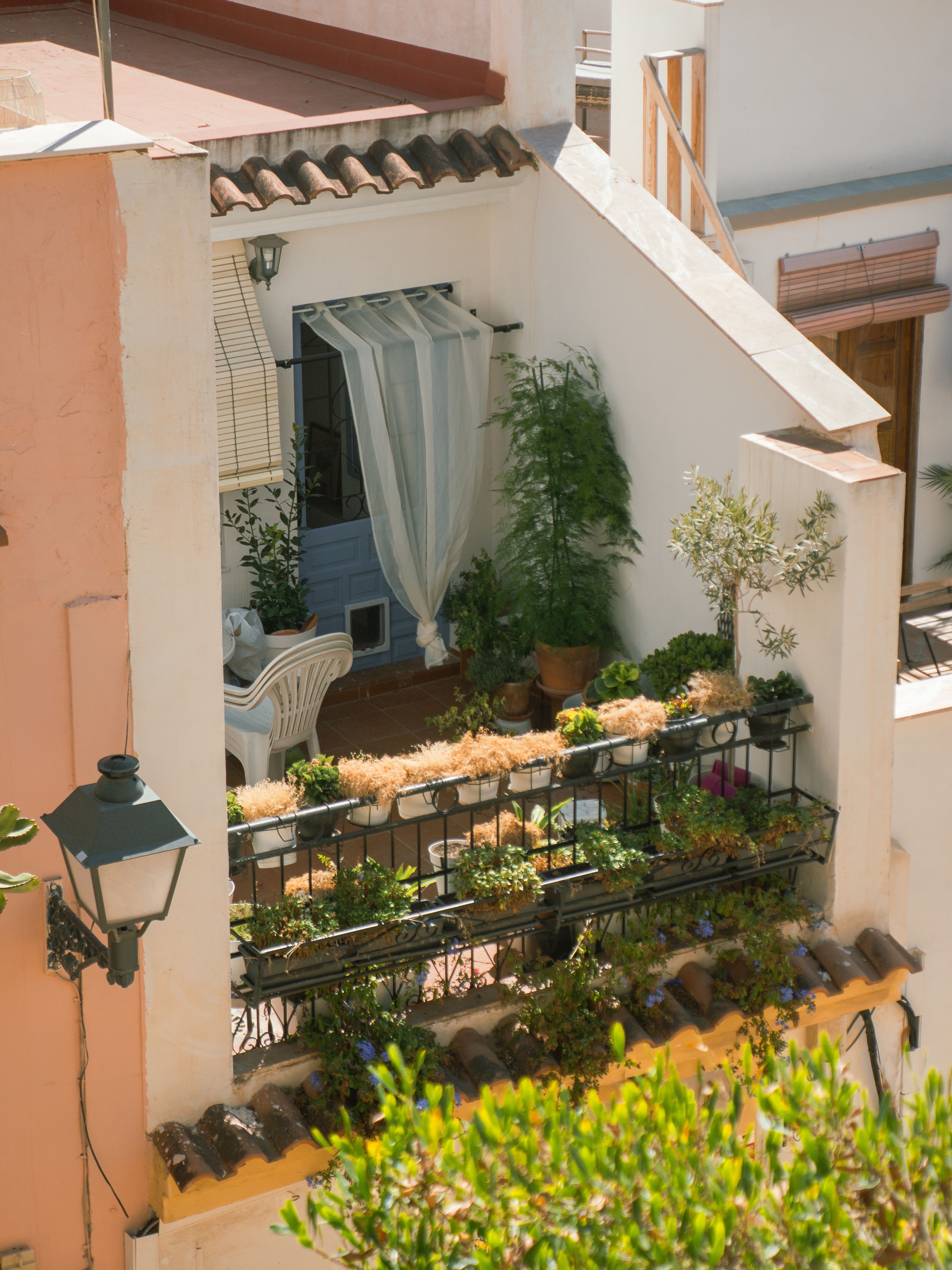 Balcone rigoglioso: 7 cure semplici per avere piante verdi e sane tutto l’anno
