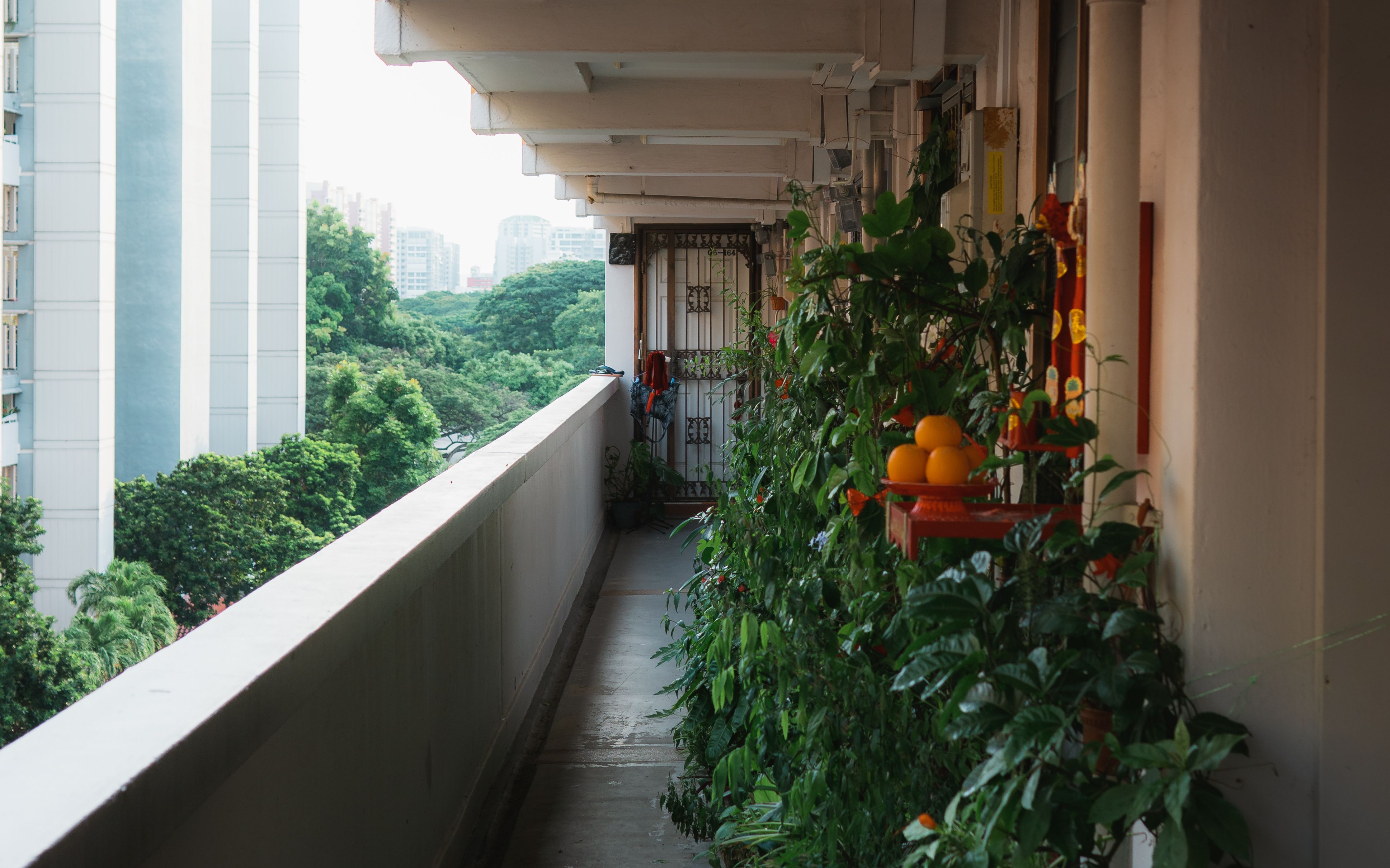 Balcone lungo con piante disposte lungo la parete interna e luce intensa sul lato aperto