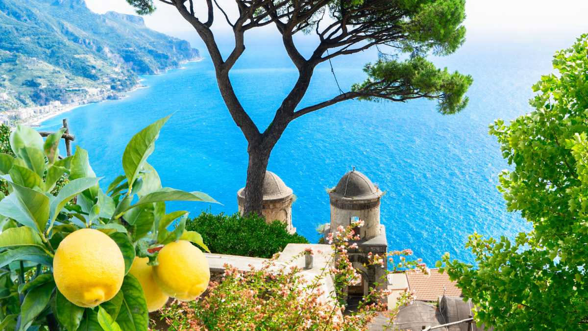 Cosa succede se metti una pianta di limone nel terrazzo: ecco i 5 segreti del giardiniere