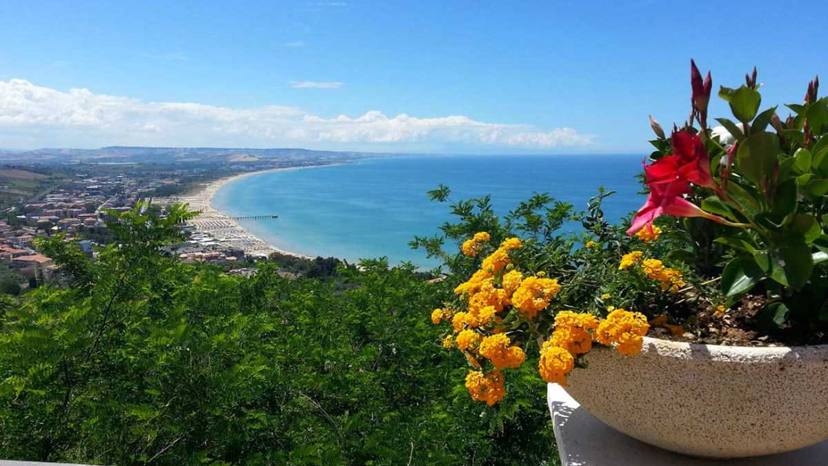 Quali piante fioriscono a giugno nel terrazzo: ecco i 5 miti da sfatare
