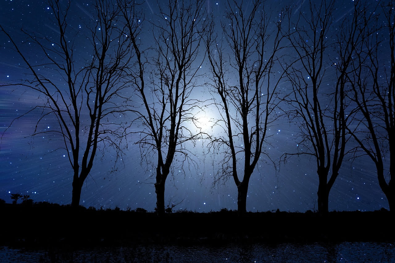 Mazzi di erbe aromatiche appena raccolte sotto la luce della luna piena d'estate