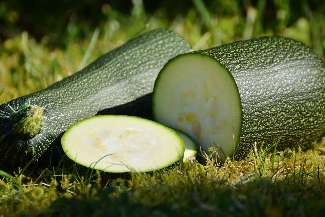 Cosa fare alle zucchine dopo la luna piena del 29 luglio: le tradizioni delle nonne