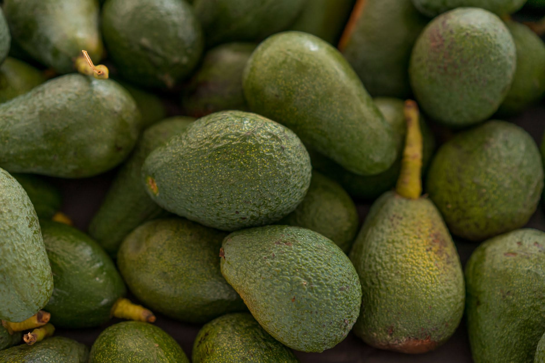 Come capire se l'avocado è maturo: il test del picciolo che pochi conoscono