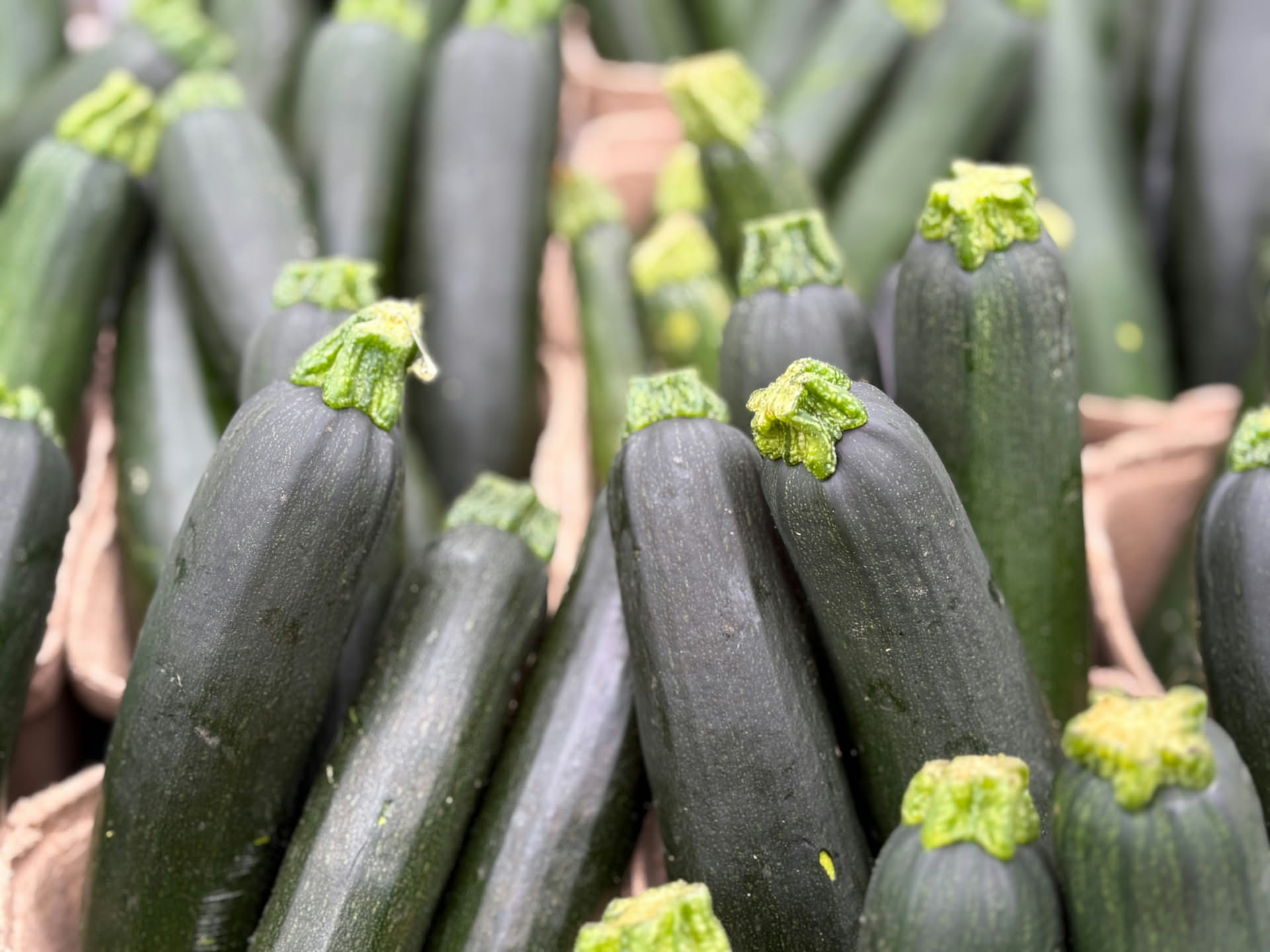 Come scegliere le zucchine al mercato: i 5 segnali da guardare