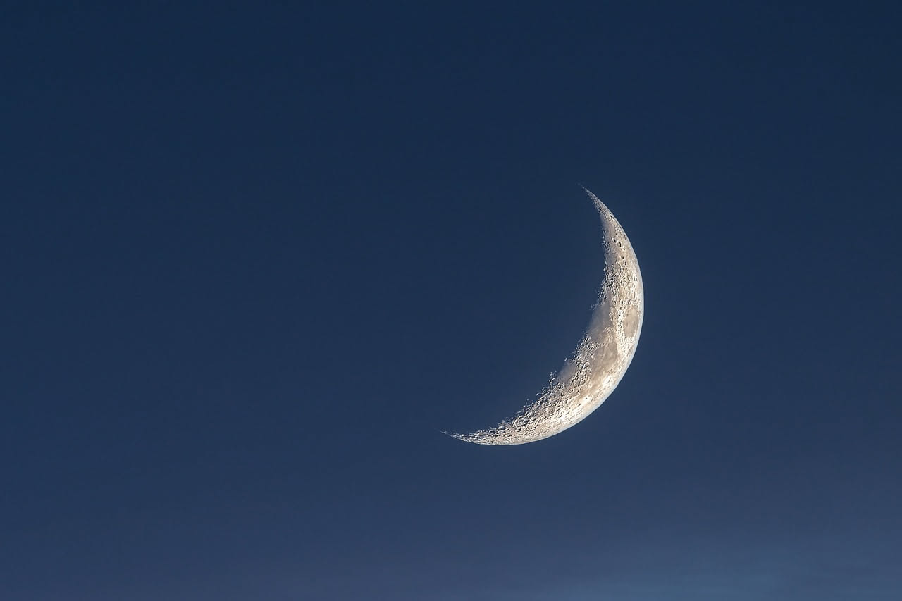 7 cose da fare (e 4 da evitare) nell'orto con la luna calante di inizio agosto