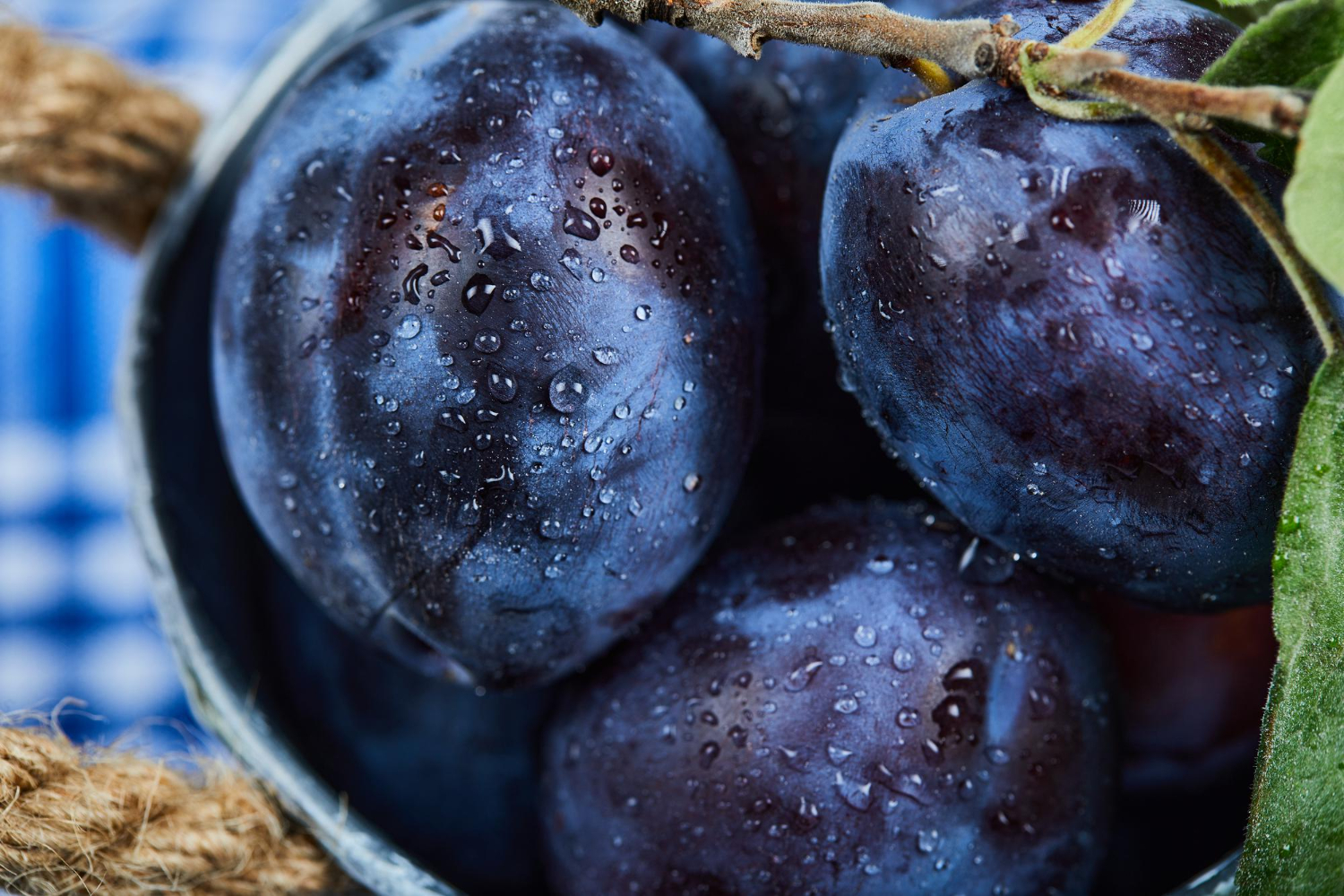 Perché alcune prugne hanno questa patina? 3 cose che forse non immaginavi